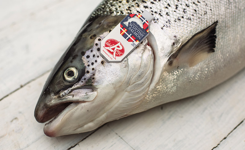 salmon with label rouge gill tag